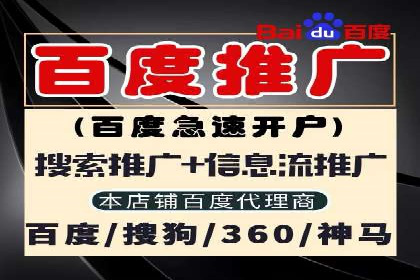 某企业通过SEM运营实现业绩翻倍的秘诀